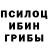 Псилоцибиновые грибы Cubensis deutscher turke