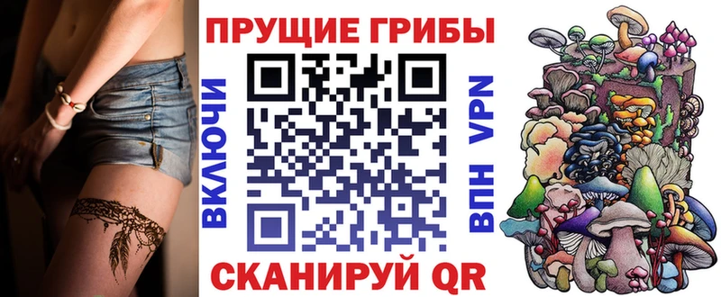 Псилоцибиновые грибы мицелий  как найти   Лебедянь 
